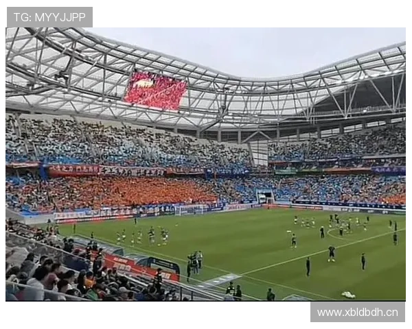 科特迪瓦能否延续非洲象传奇 2026世界杯预选赛关键战分析 科特迪瓦能否延续非洲象传奇 2026世界杯预选赛关键战分析